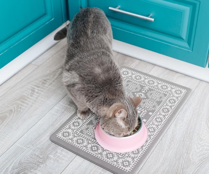 Use a Cat Food Mat with Insect Repellent