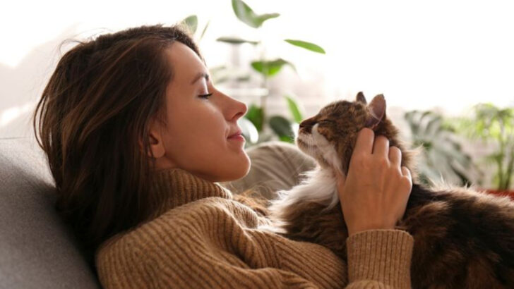 Want Your Cat to Love You More? Try These 15 Expert Tips