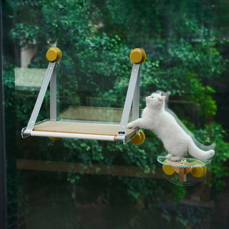 Window Perch Cleaning