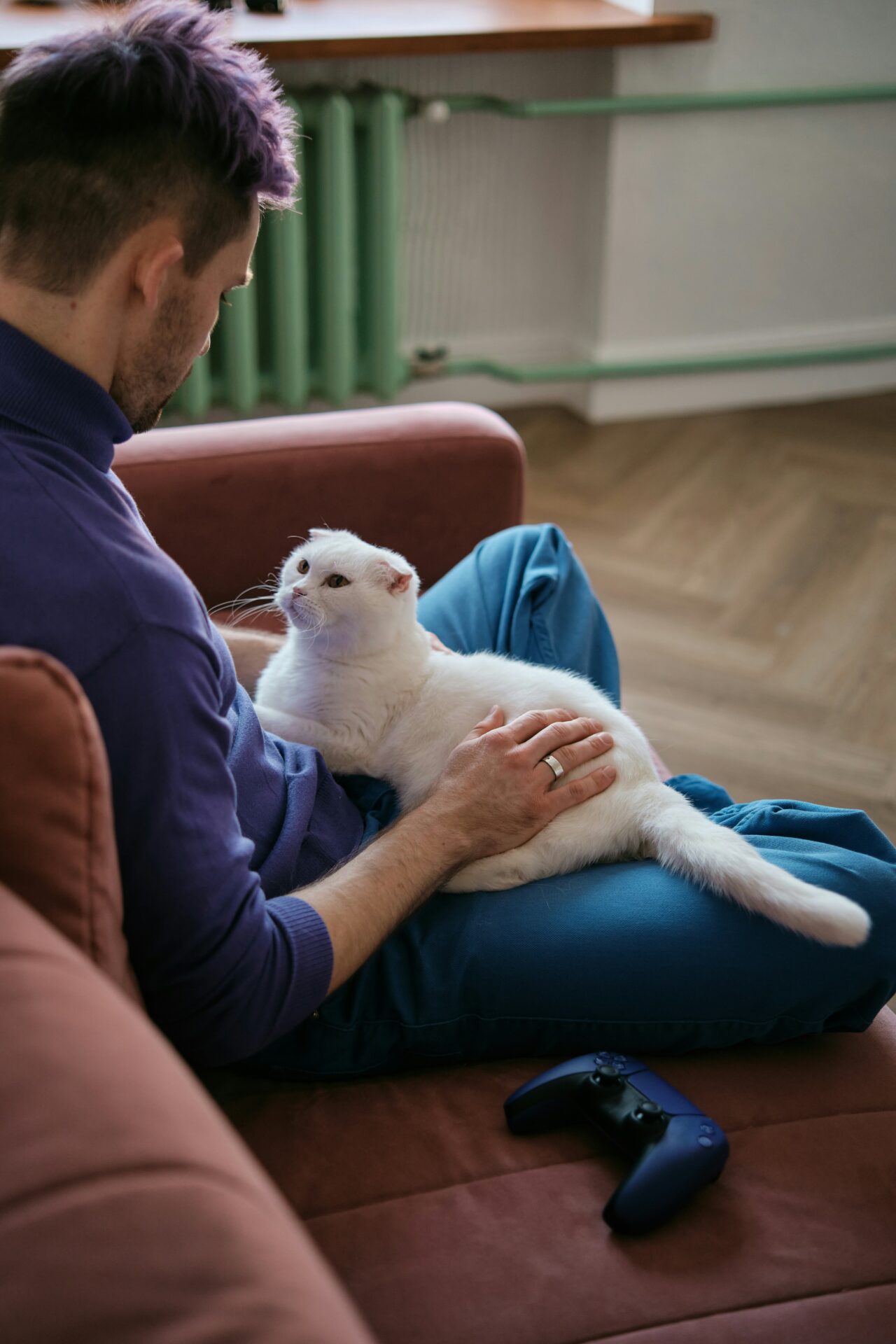 10 Must-Know Tips to Keep Your Pregnant Cat Healthy and Happy Throughout Her Journey