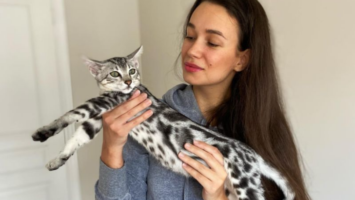 14 Things you Never Knew About the Egyptian Mau, One of the Oldest and Fastest Domestic Cats