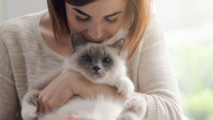 16 Ways Your Cat Shows You’re Their Absolute Favorite Person