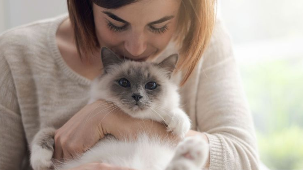 16 Ways Your Cat Shows You’re Their Absolute Favorite Person