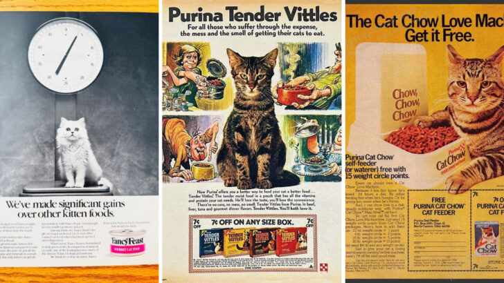 A Taste of the Past – 15 Best Nostalgic Cat Foods You’ve Forgotten About, Ranked