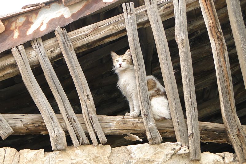 Abandoned Buildings