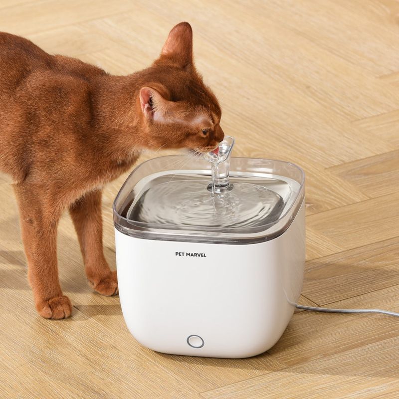 Automatic Water Fountain