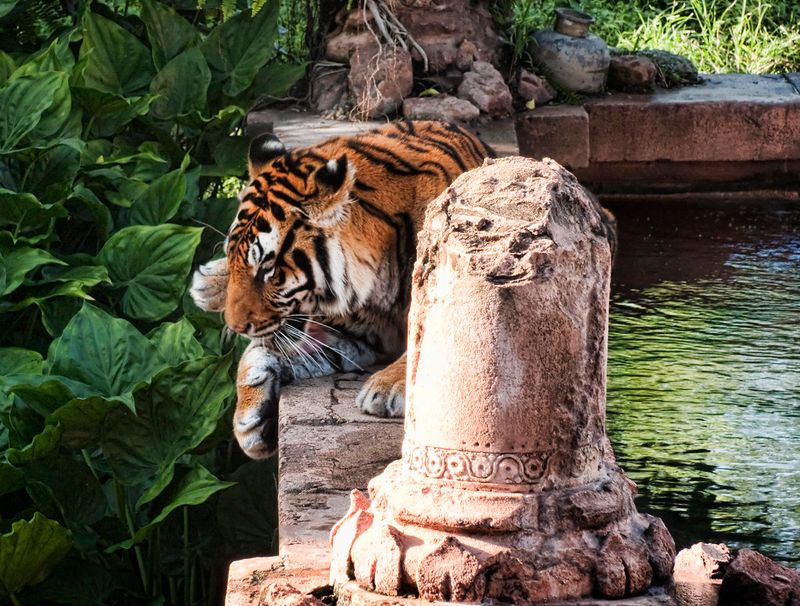 Body Language of Relaxation