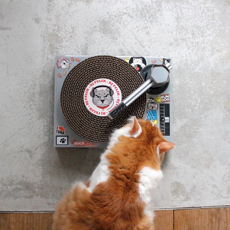 Cat DJ Scratching Deck