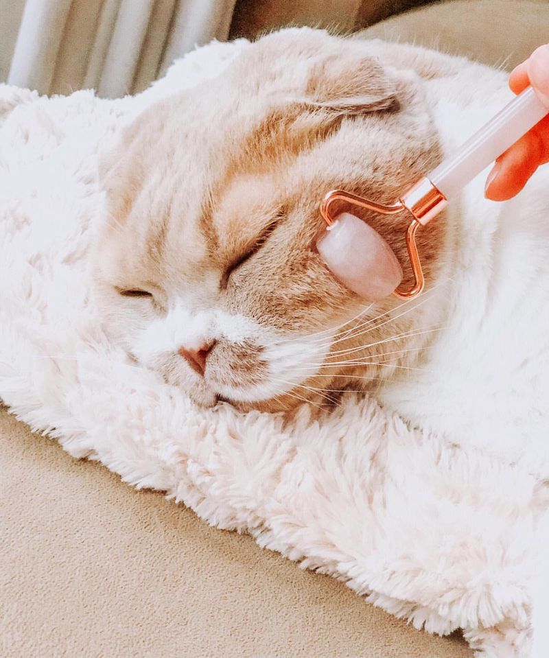 Cat Facial Massager