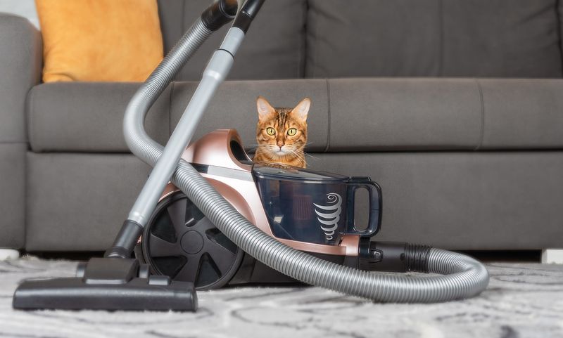 Cat-Friendly Vacuuming 🚀