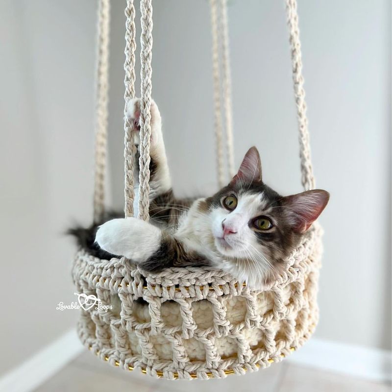 Cat Hammock