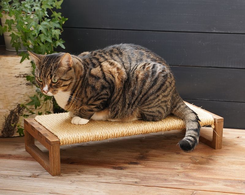 Cat Scratching Lounger (Horizontal Scratcher)