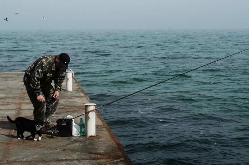 Cat Warns Fisherman of Incoming Storm