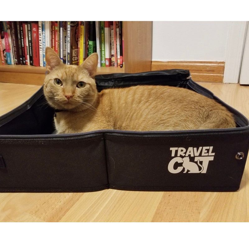 Choose the Right Travel Litter Box