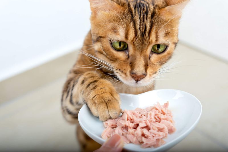 Consistent Mealtime Etiquette