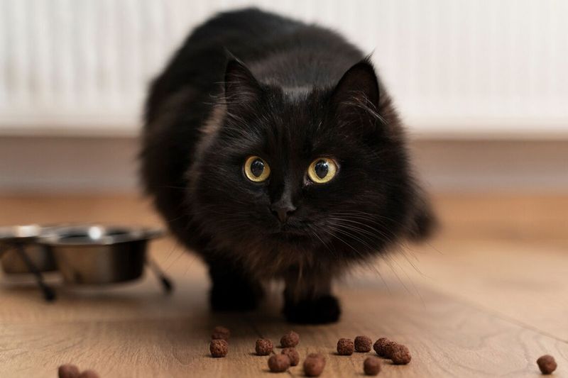 Covering Their Food with Imaginary Dirt