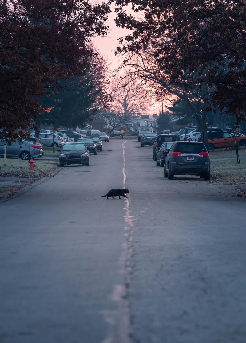 Crossing Roads Quietly