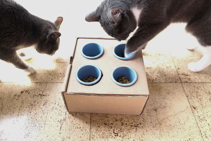 DIY Puzzle Feeders