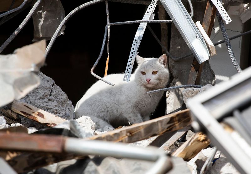 Detecting Earthquakes Before They Happen