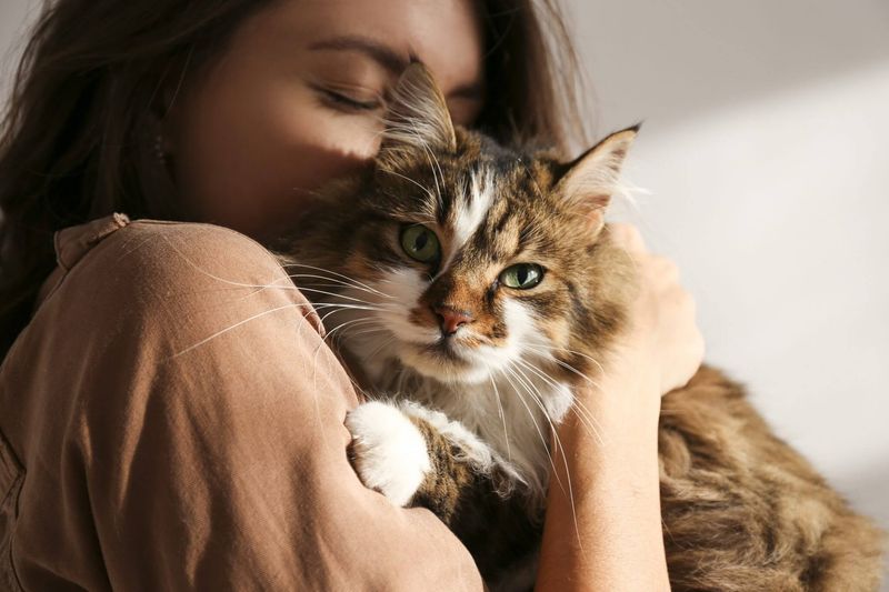 Do cats really love their owners, or are they just using them?