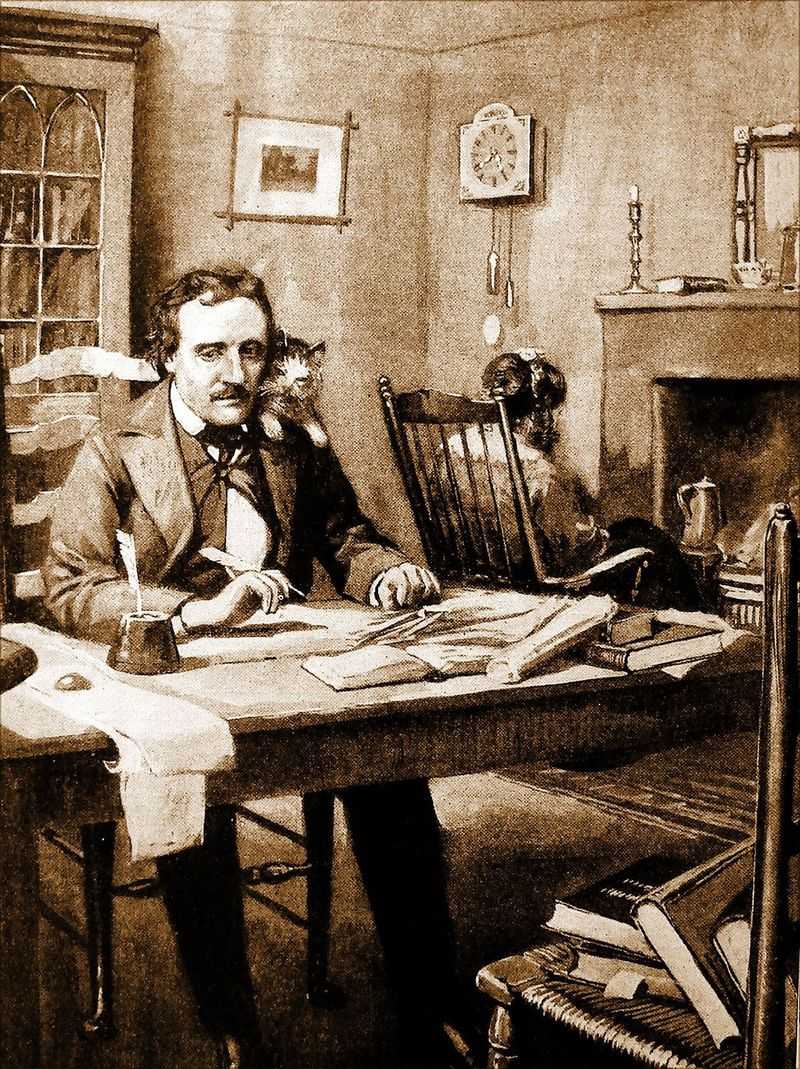 Edgar Allan Poe’s Cat – Catterina