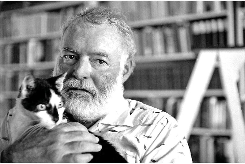 Paws Of The Past 15 Iconic Cats Who Shared History With Legends Paws Of The Past 15 Iconic Cats Who Shared History With Legends