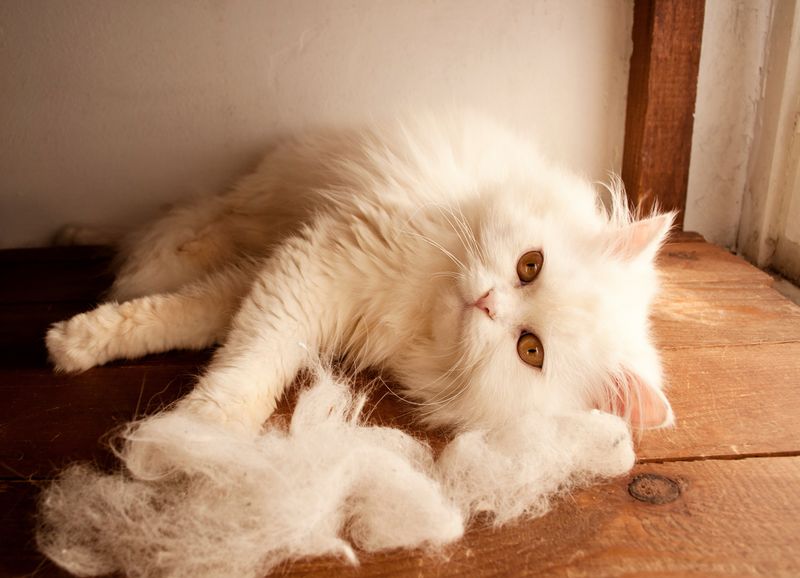Excess Shedding
