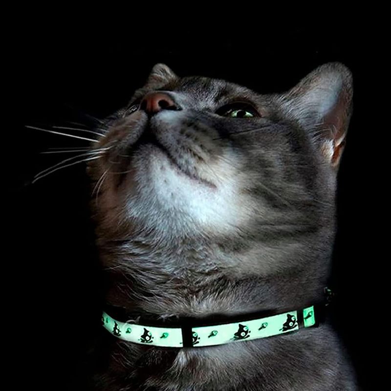 Glow in the Dark Collars