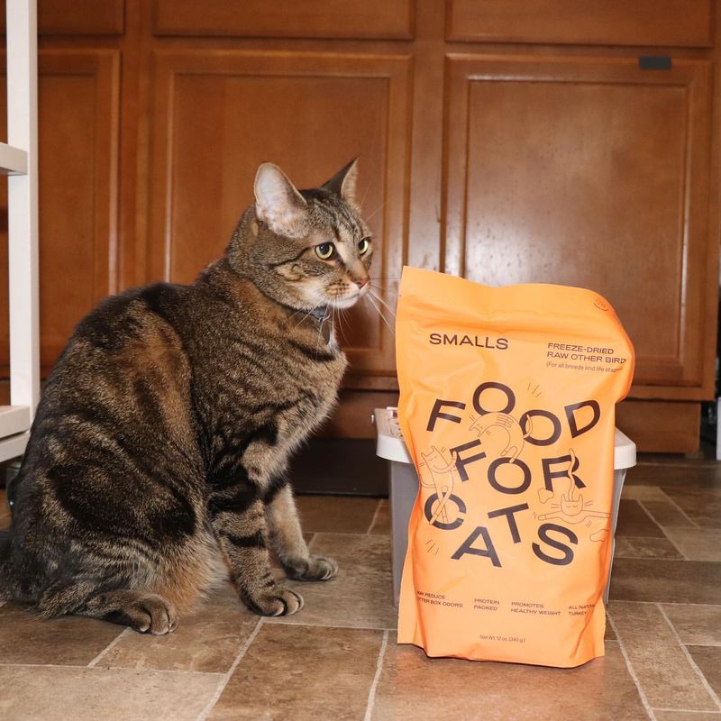 Grain-Free vs. Regular Cat Food