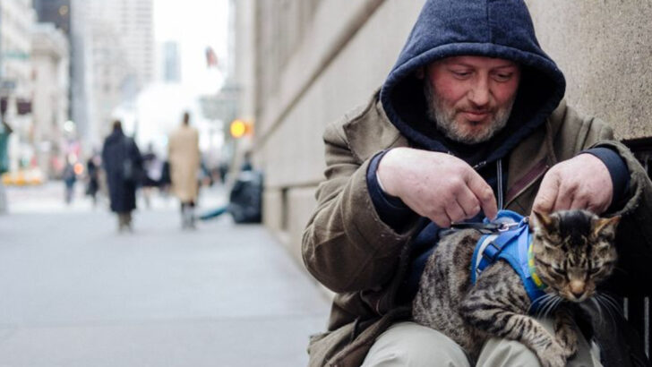 Guardian Angels on Four Paws — 15 Cats Who Saved Lives