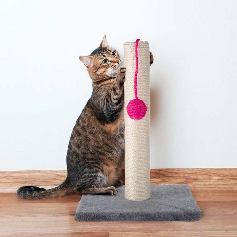 Hanging Cat Scratching Toys