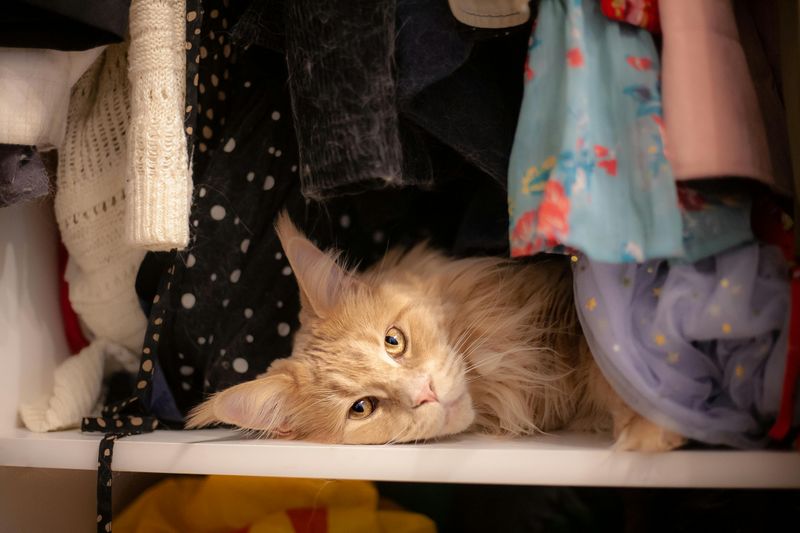 In a Closet