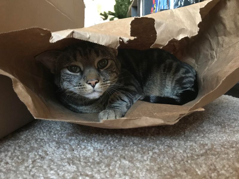 In a Paper Bag