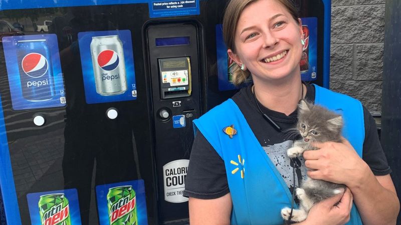 Inside Vending Machines