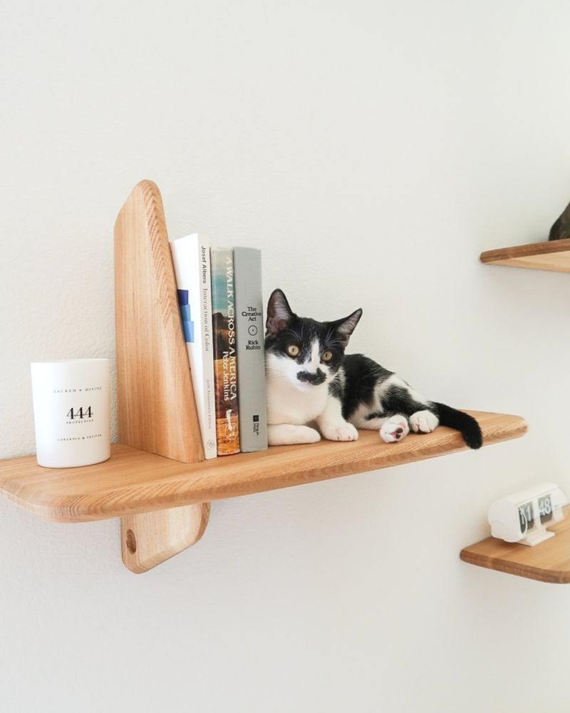 Install Cat Shelves and Perches