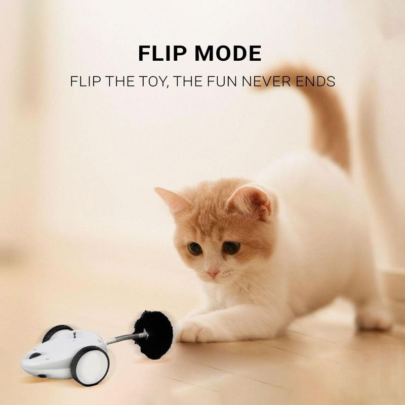 Interactive Apps for Cats