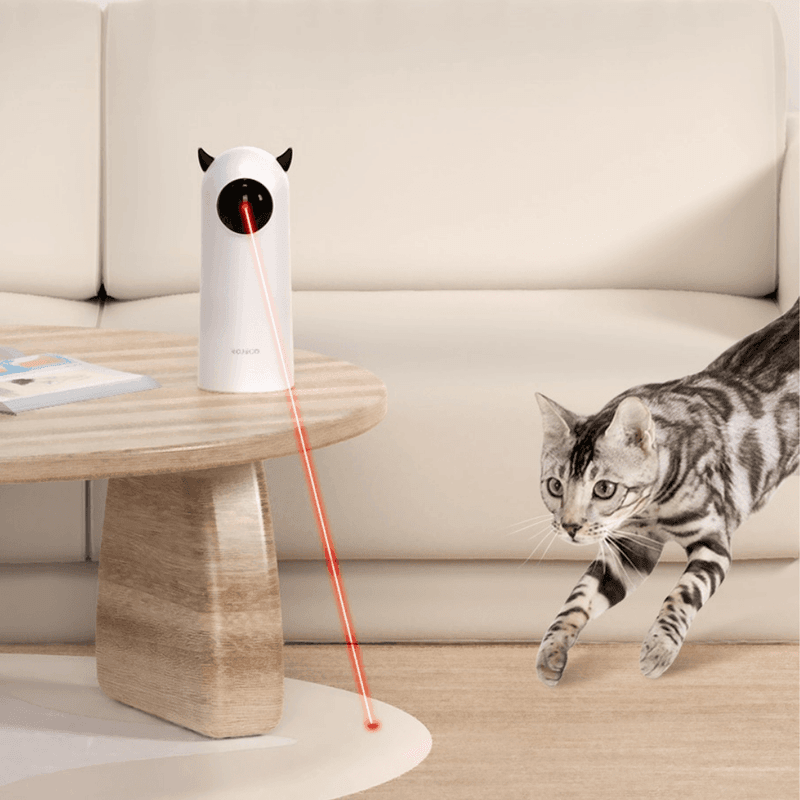 Interactive Laser Toy