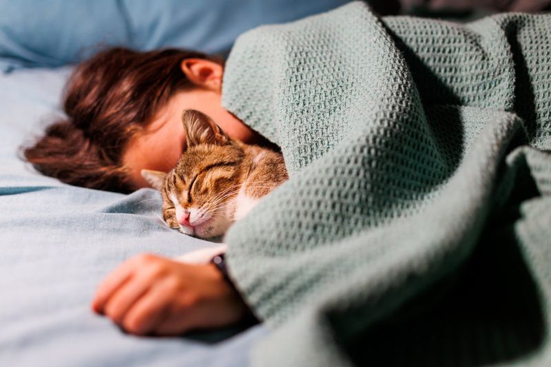 Is it okay for cats to sleep in bed with their owners?