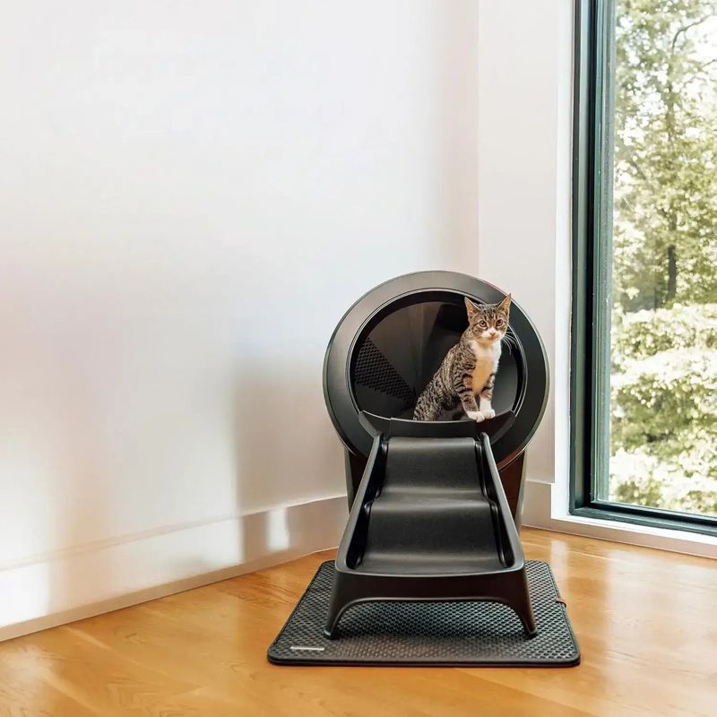 Litter Box Access