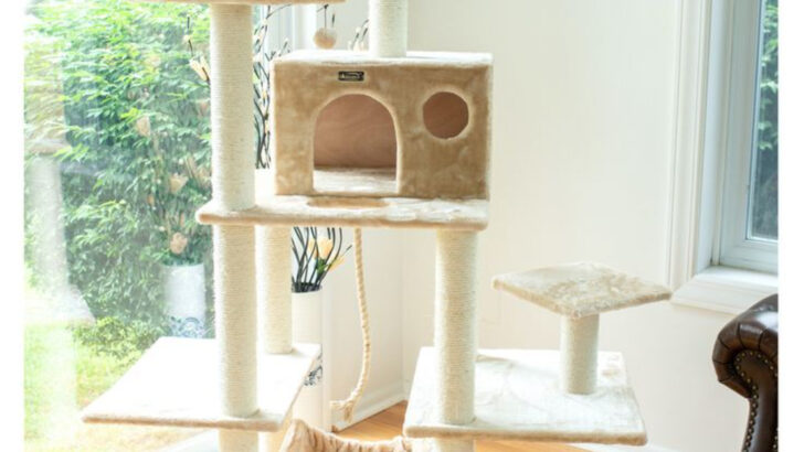 Maine Coon Approved – 15 Durable Cat Trees for Big Cats