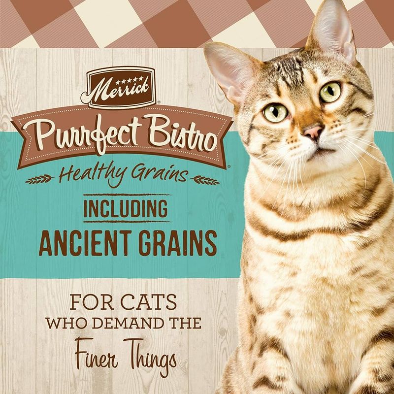 Merrick Purrfect Bistro Grain-Free Salmon Recipe