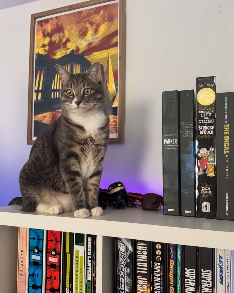 On Top of the Bookshelf