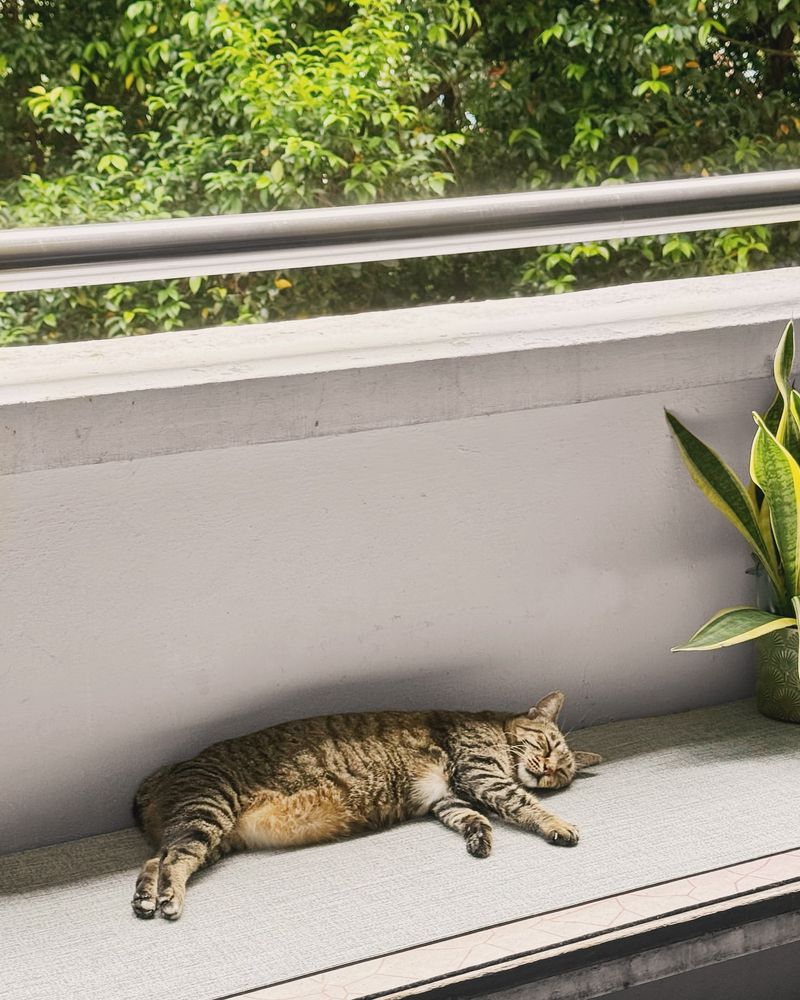 On a neighbor's bench