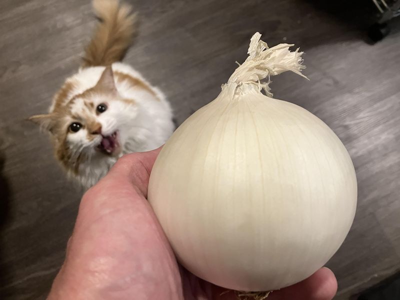 Onions & Garlic