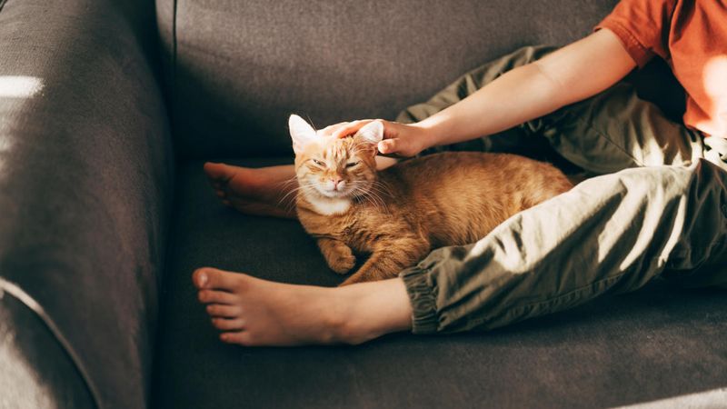 Overlooking the Importance of a Cozy Sleeping Spot