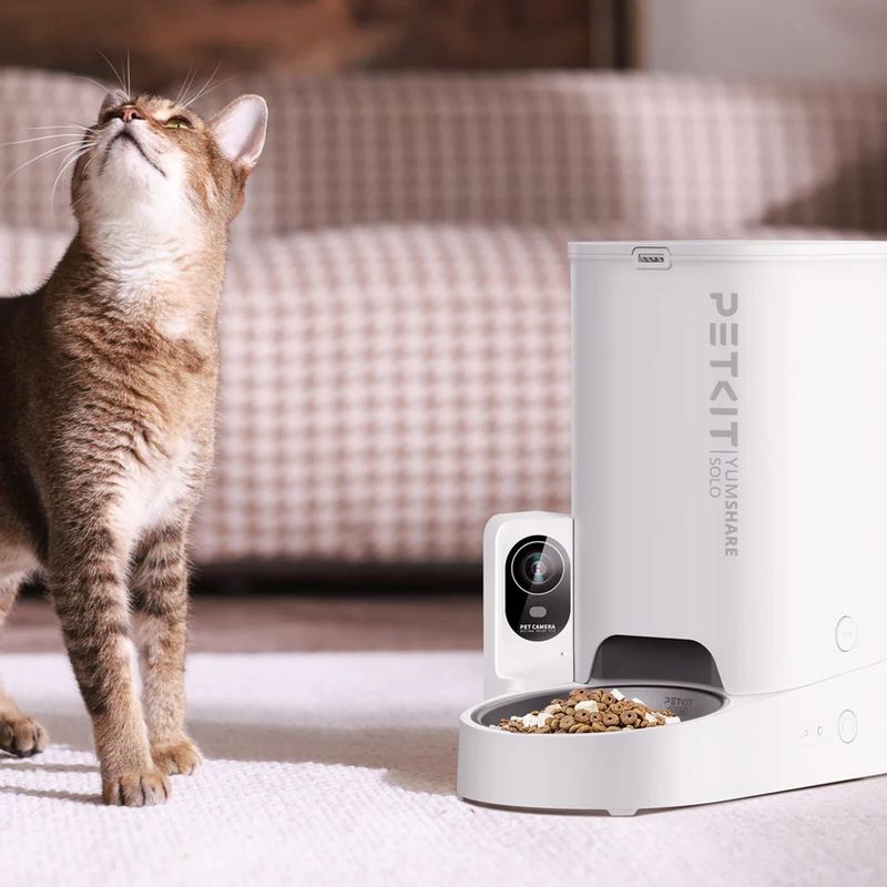 Pet Camera with Treat Dispenser