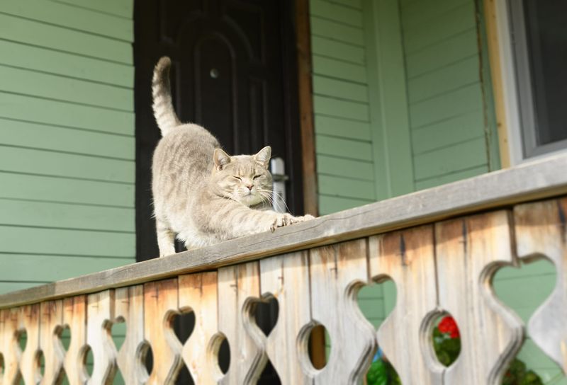 Porches and Patios