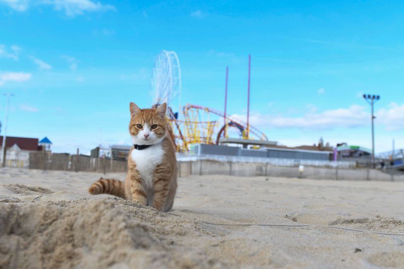 Quiet Beach