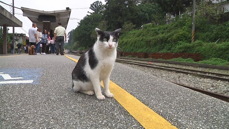 Railway Station (Quiet Times)