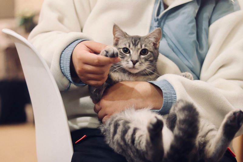 Regular Vet Visits
